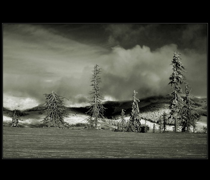Krkonošský blues ...